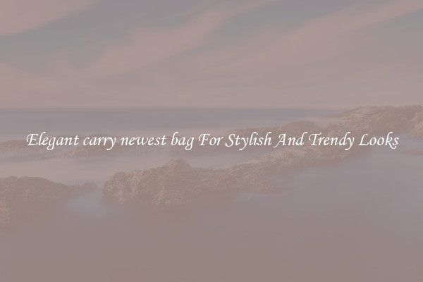 Elegant carry newest bag For Stylish And Trendy Looks