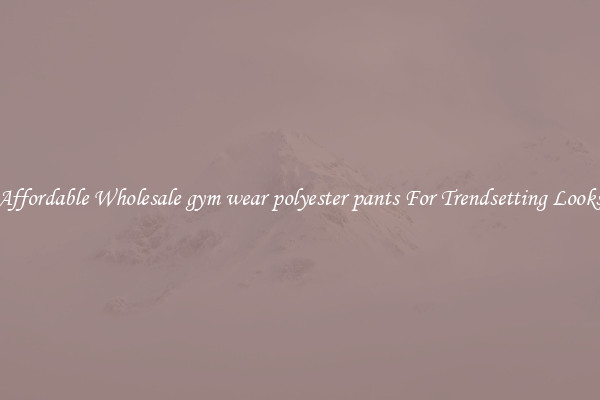 Affordable Wholesale gym wear polyester pants For Trendsetting Looks