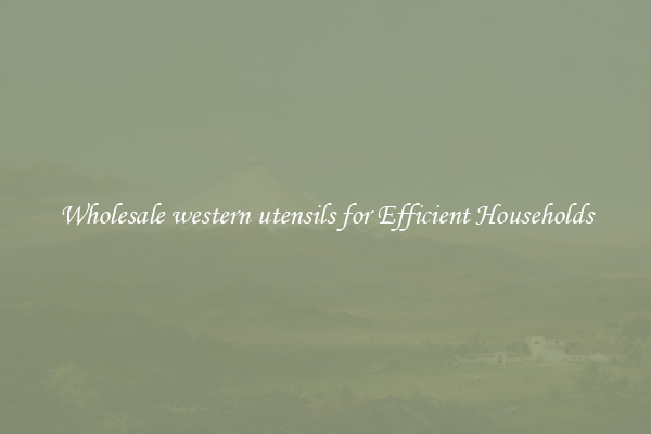 Wholesale western utensils for Efficient Households