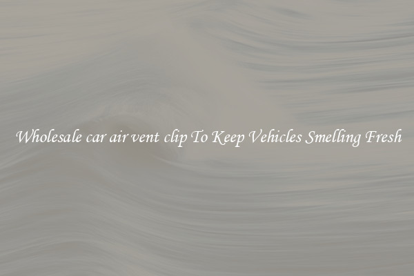 Wholesale car air vent clip To Keep Vehicles Smelling Fresh