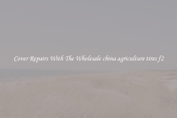  Cover Repairs With The Wholesale china agriculture tires f2 