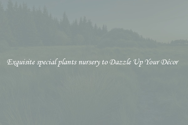 Exquisite special plants nursery to Dazzle Up Your Décor  