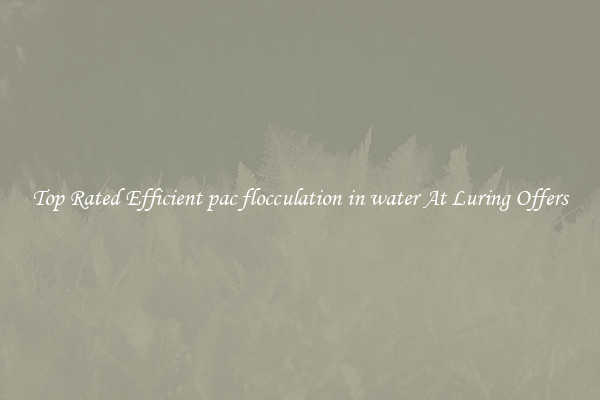 Top Rated Efficient pac flocculation in water At Luring Offers