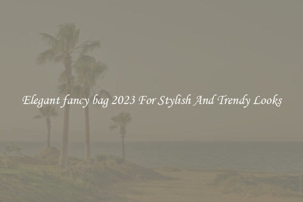 Elegant fancy bag 2023 For Stylish And Trendy Looks