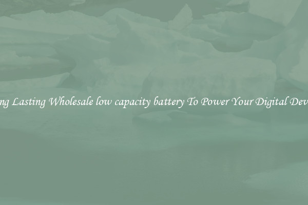 Long Lasting Wholesale low capacity battery To Power Your Digital Devices
