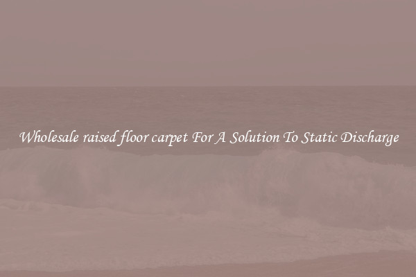 Wholesale raised floor carpet For A Solution To Static Discharge