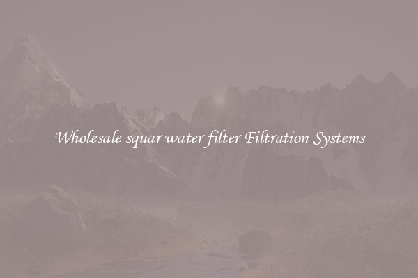 Wholesale squar water filter Filtration Systems