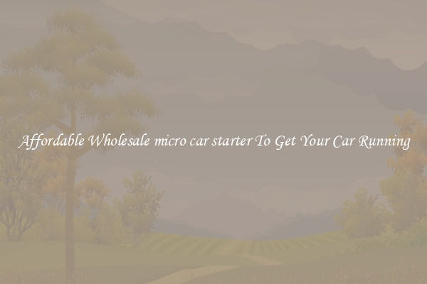 Affordable Wholesale micro car starter To Get Your Car Running