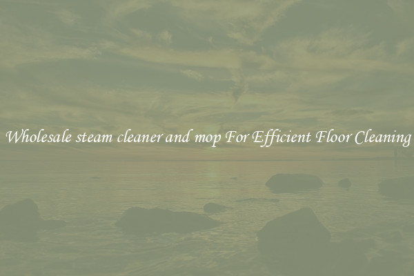 Wholesale steam cleaner and mop For Efficient Floor Cleaning