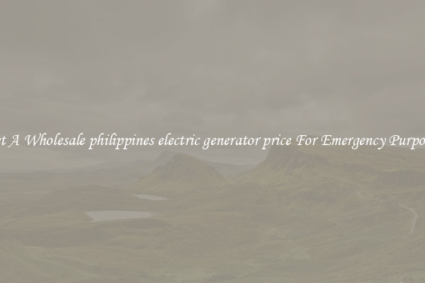 Get A Wholesale philippines electric generator price For Emergency Purposes
