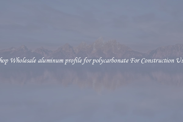 Shop Wholesale aluminum profile for polycarbonate For Construction Uses