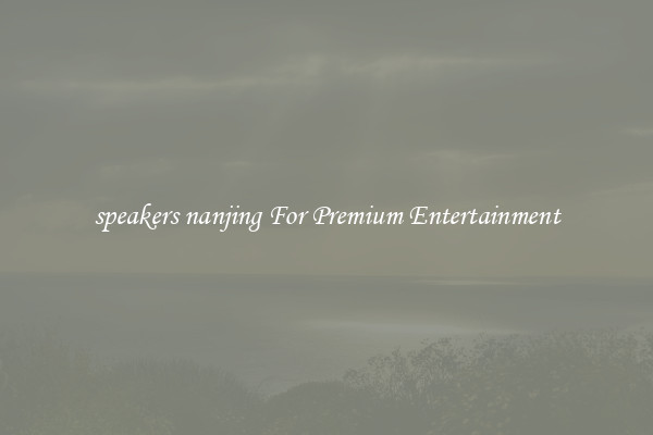 speakers nanjing For Premium Entertainment