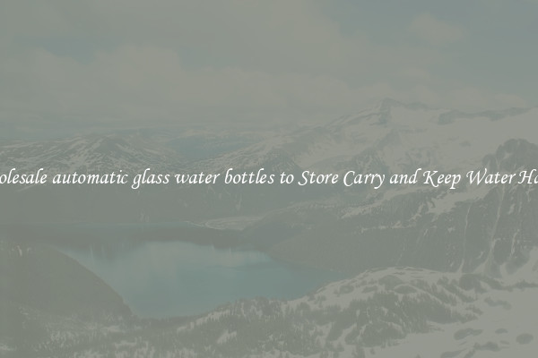 Wholesale automatic glass water bottles to Store Carry and Keep Water Handy