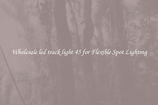 Wholesale led track light 45 for Flexible Spot Lighting
