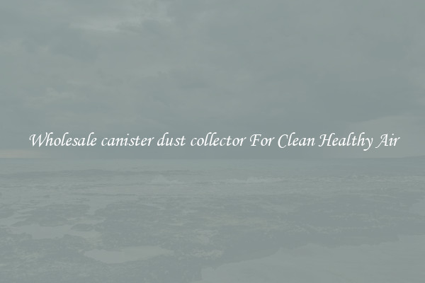 Wholesale canister dust collector For Clean Healthy Air