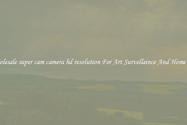 Wholesale super cam camera hd resolution For Art Survellaince And Home Use