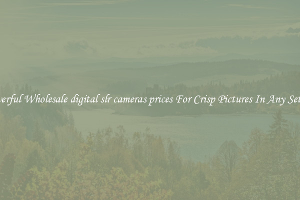 Powerful Wholesale digital slr cameras prices For Crisp Pictures In Any Setting